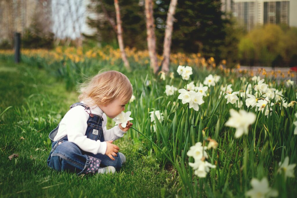 Young child smelling daffodils in a lush spring garden, embracing nature and curiosity.